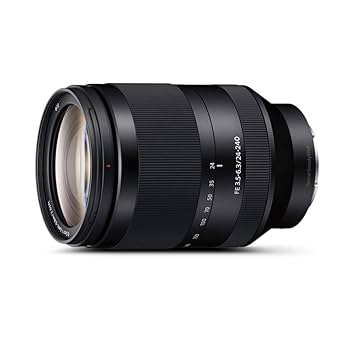 【期間限定特価】SONY FE 24mm F2.8 G 51+9QPz5LXL._UF350,350_QL80_.jpg
